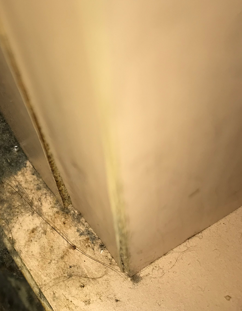 15033291-e310-4630-83ff-e01b8412de3f-original.png